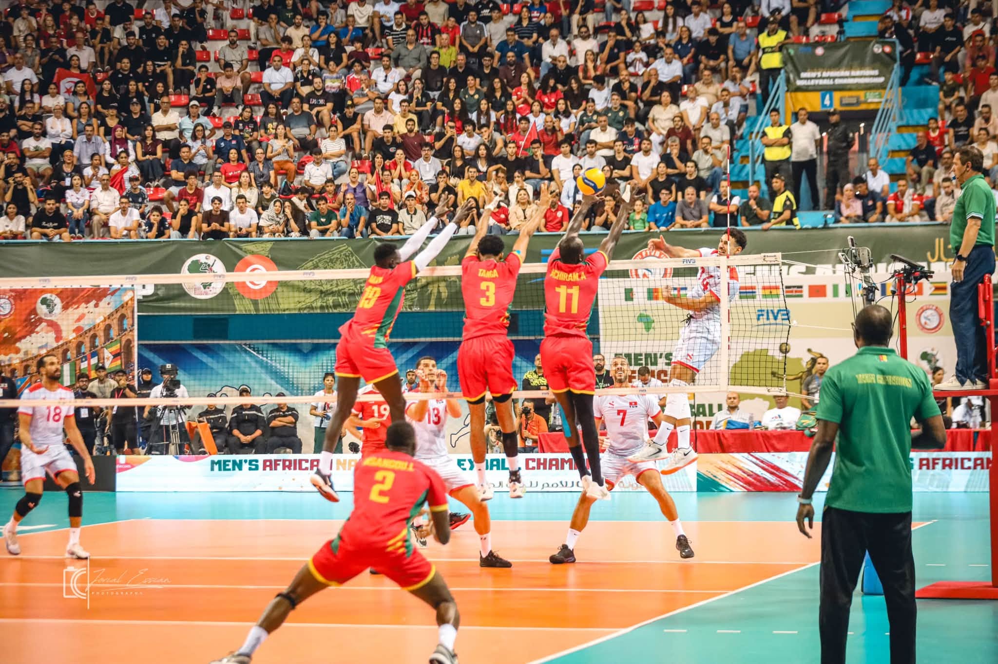 CHAN masculin Tunis 2026 : le Cameroun vice-champion d’Afrique, trois Lions dans la Dream Team — image 5